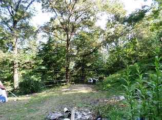 88 Firefly Pl, Clyde, NC 28721