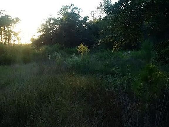 4th image of 2515 Gopher Hill Trl