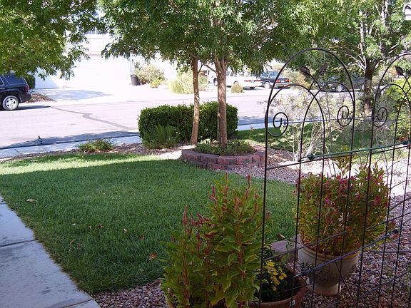 Front Yard
