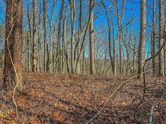 5th image of 0 River Highlands Rd