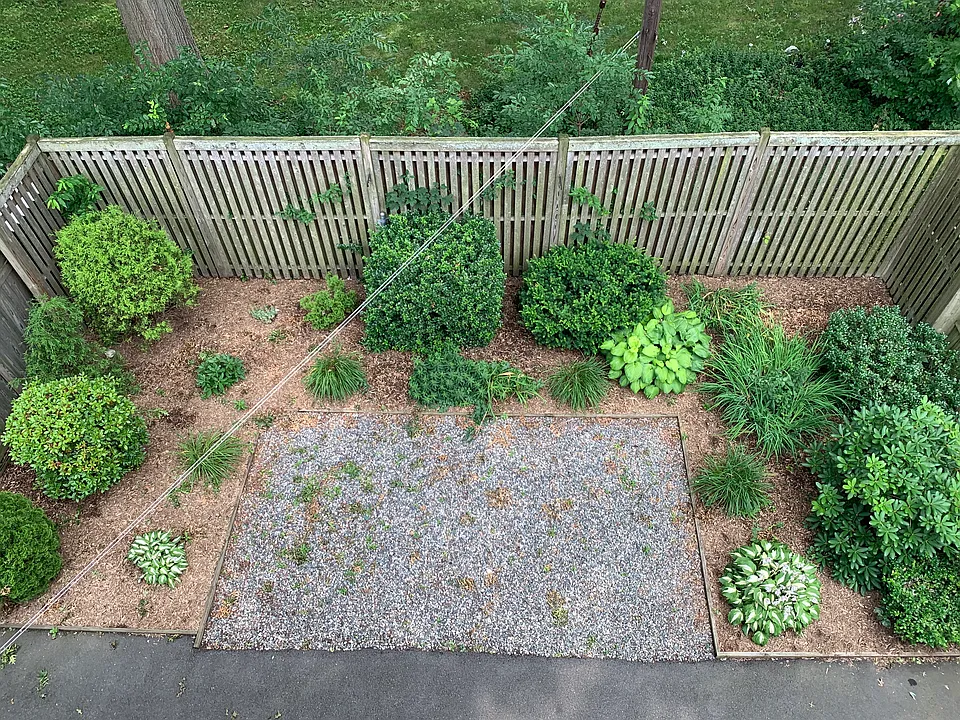 Shared Common Rear Yard