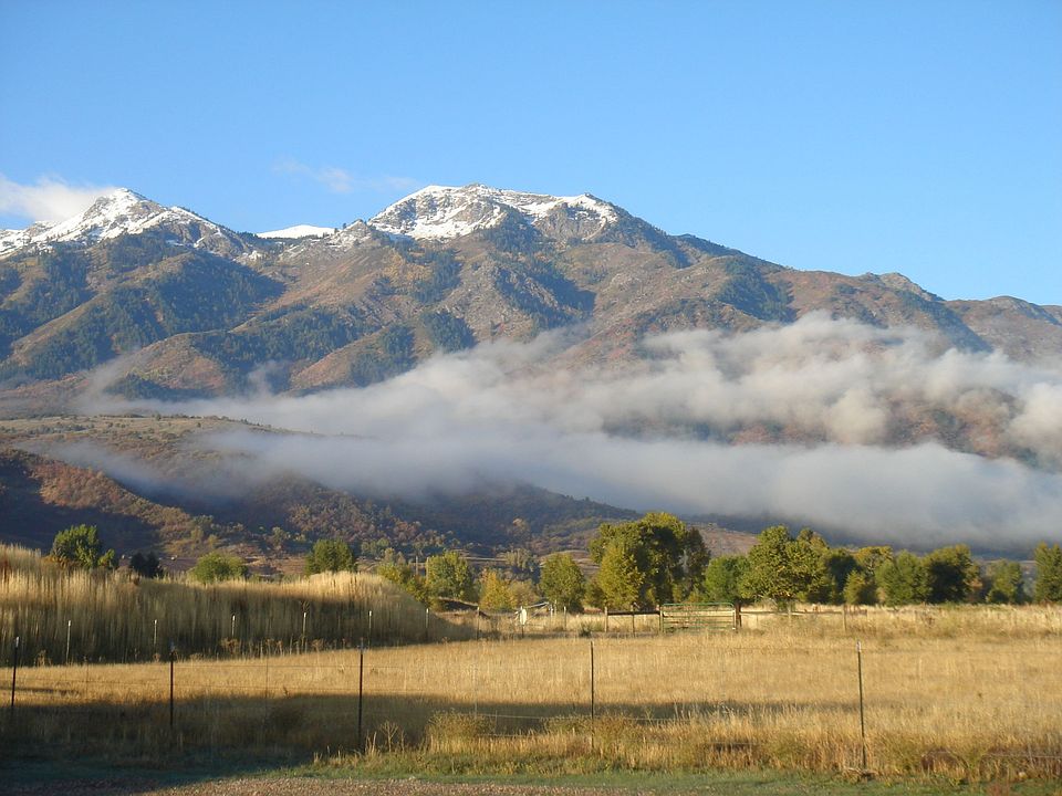 View from the front porch.
