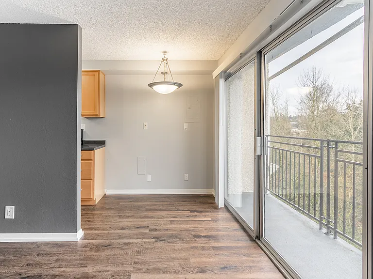 Studio Living Room and Balcony