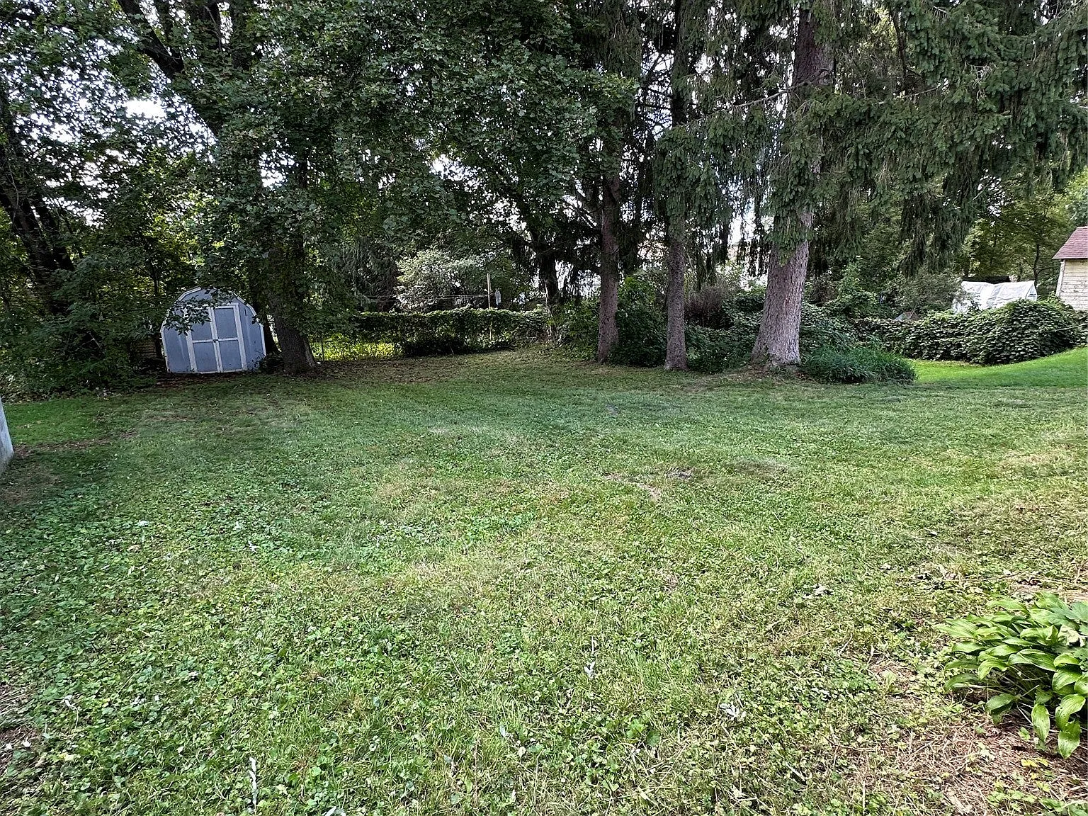 3 bed, 1.5 bath, 1500 sqft, $2,000 — Photo 3