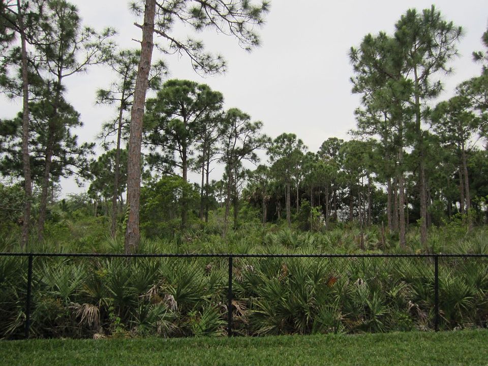 Backyard Preserve View