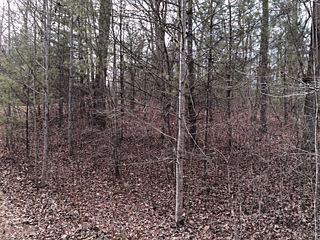 2nd image of Red Fox Trail #Lt 5