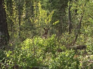 Popple River Acres #9, Popple River, WI 54511