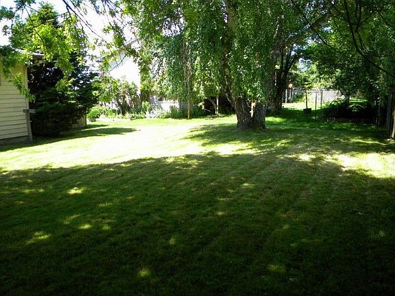 Level Back Yard