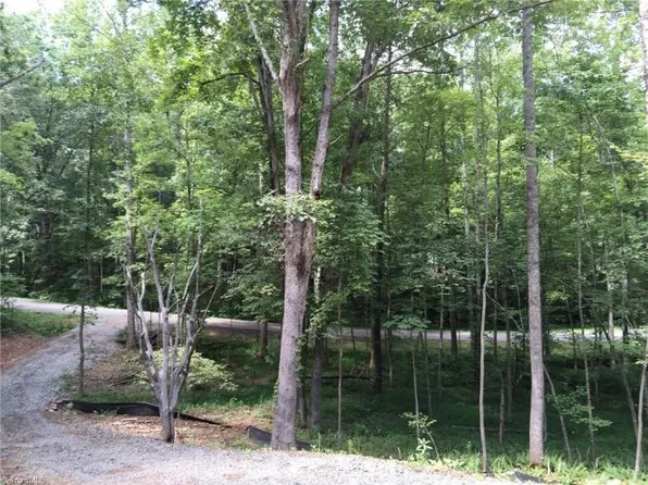 353 Beuna Vista Dr, Pilot Mountain, NC 27041