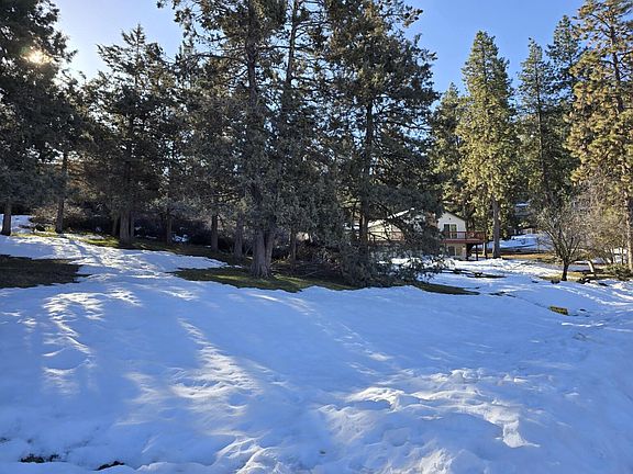 5th image of 1201 Wild Plum Dr