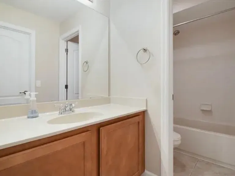2182 Camel Lake Ct — Photo 11