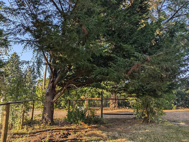 19105 NE 112th Ave — Photo 40