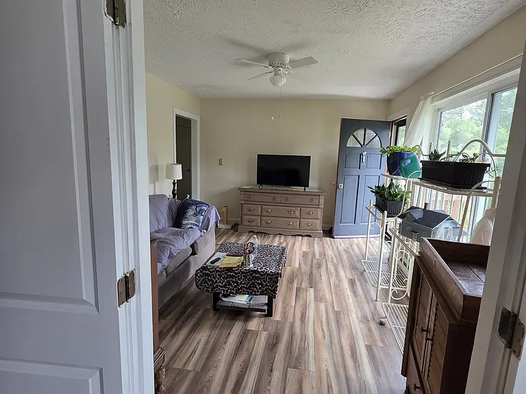 242 Maple Grove Subdivision Rd — Photo 13