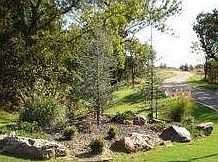 2nd image of 3401 Palomino Way Lot 9