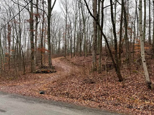 LOT 1 Sussex Rd Unit 1, Dayton, TN 37321