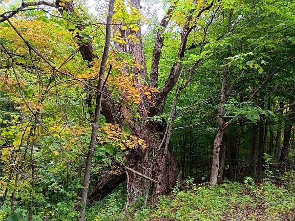 3rd image of 4101 Hopkins Rd #51