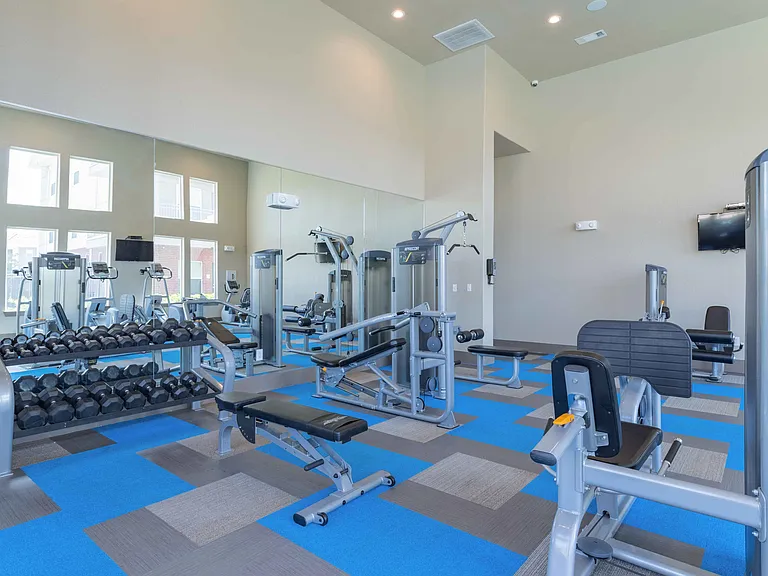 Century Palm Bluff — Photo 21