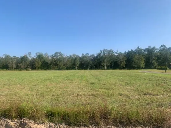 0 Joiner Ln, Willacoochee, GA 31650