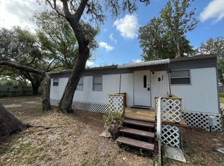 12617 Palm Lake Vw, Thonotosassa, FL 33592