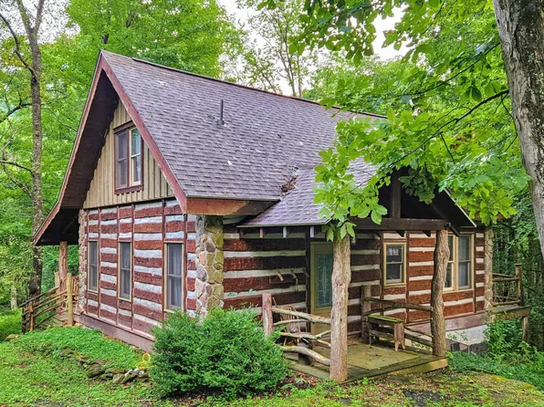 5 Erehwon Dr, Slatyfork, WV 26291