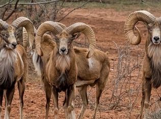 Buffalo4 Ranch County Rd #290, Blackwell, TX 79506