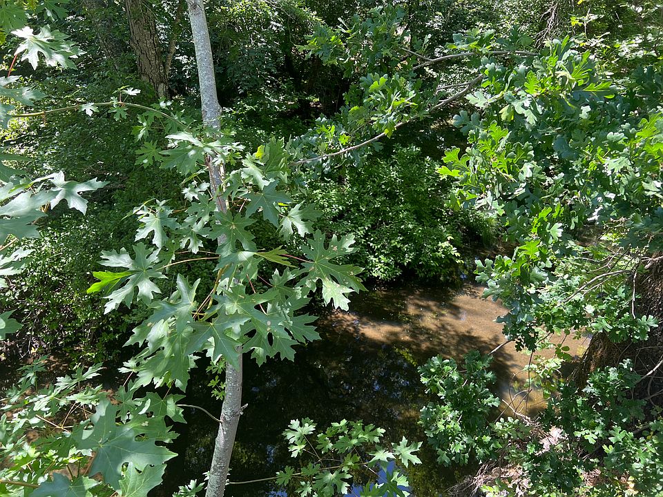 the creek from the deck