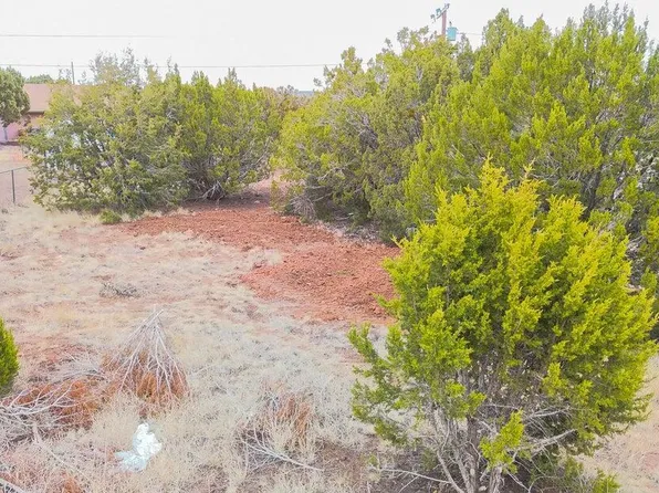 8342 Snowflake Circle #-, Show Low, AZ 85901