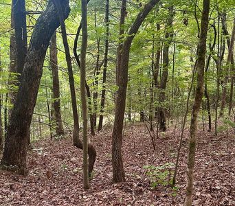 0 Creekview Dr, Ellijay, GA, 30536