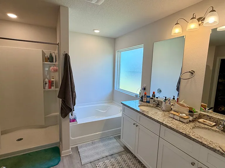 250 Boggy Creek Way — Photo 8