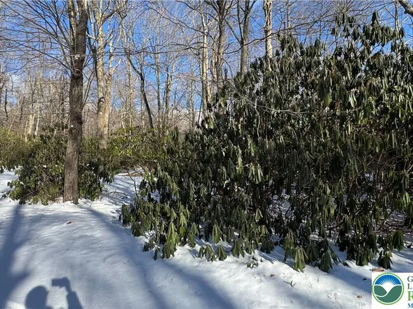 Oakland Dr, Albrightsville, PA 18210