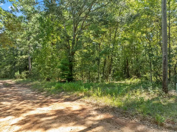 360 Ian Ln, Quincy, FL 32351