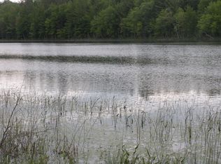 31200 Staples Lake Rd, Danbury, WI 54830