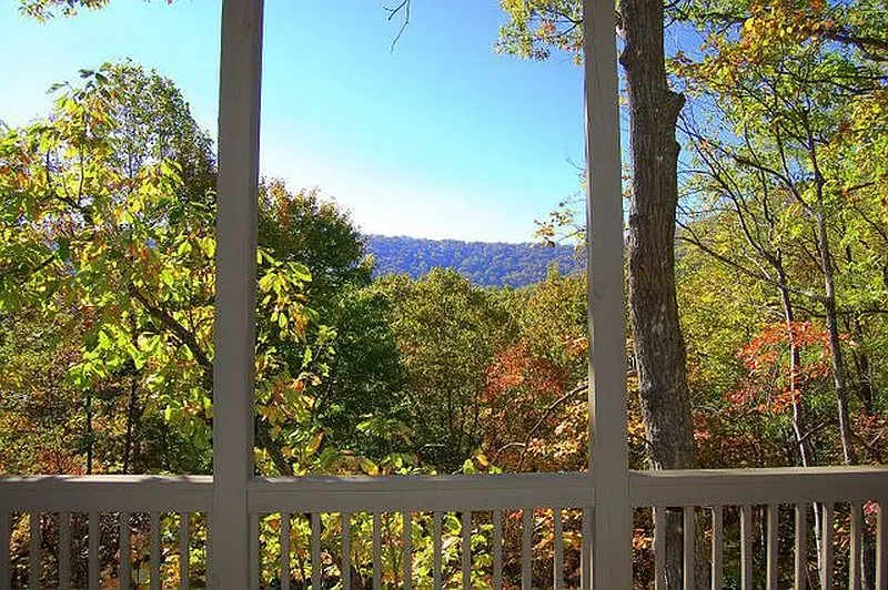 Thumbnail 17