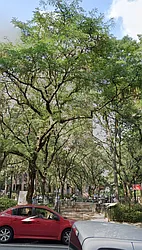 Sold by Oxford Property Group