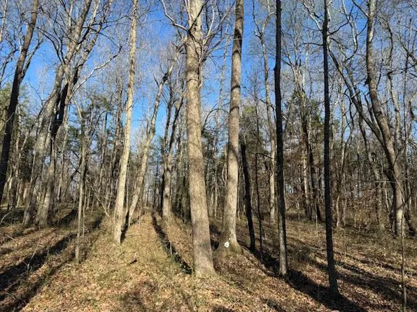 120 S Woods Rd, McMinnville, TN 37110