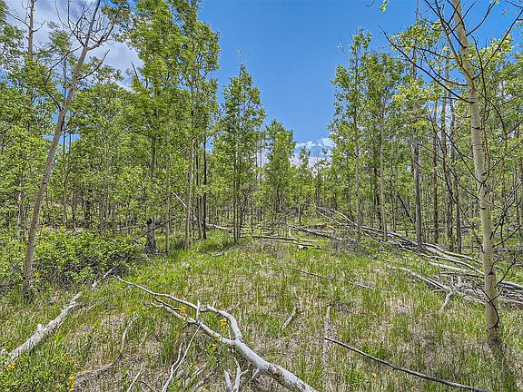 5th image of 612 Iron Mountain Road
