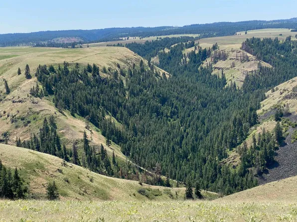 Nna Cloverland Rd, Asotin, WA 99402