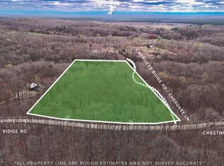 1139 Chestnut Ridge Rd, Spring City, TN 37381