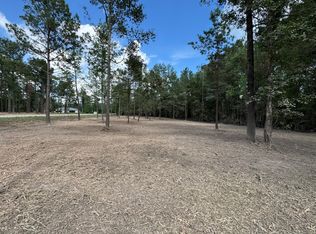 0 Highway 40 TRACT 2, Albany, LA 70711