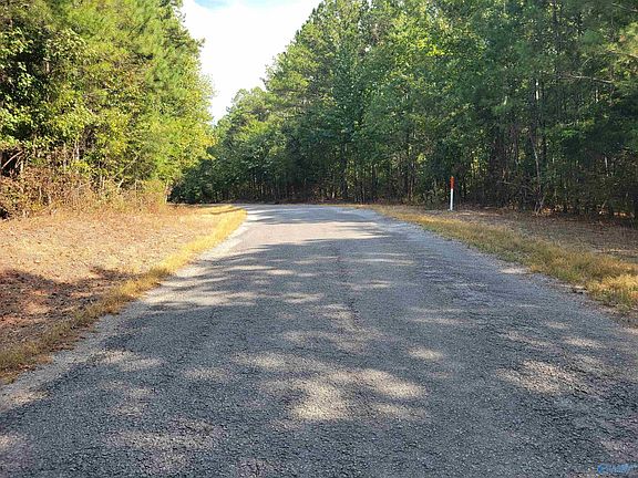 3rd image of 191 County Road 249