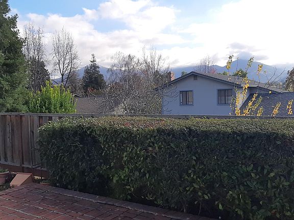 Views of Mount Diablo from Backyard