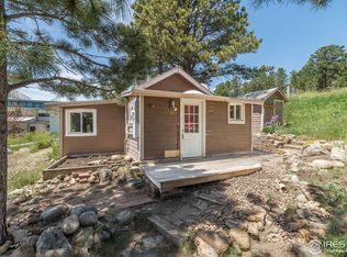 95 W 5th St, Nederland, CO 80466