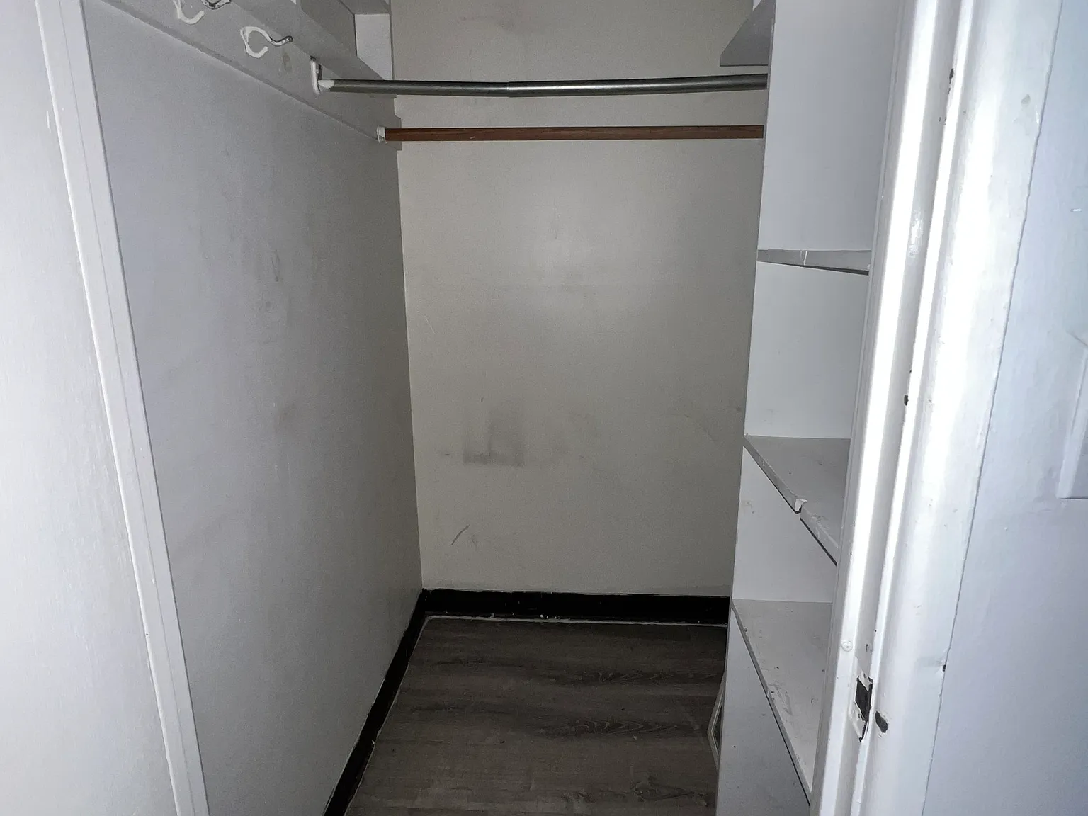 1 bed, 549 sqft, $1,350 — Photo 4