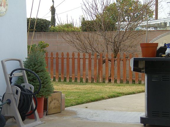 Fully fenced back yard with fruit trees