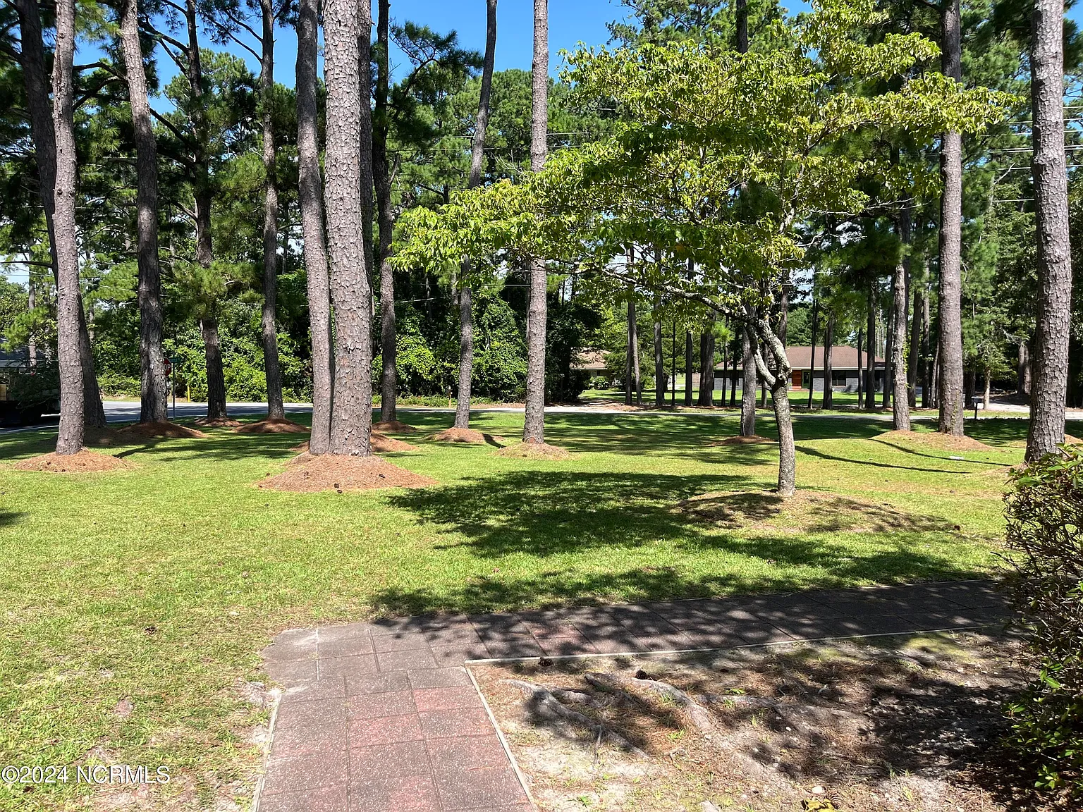 3 bed, 2.5 bath, $2,100 — Photo 4
