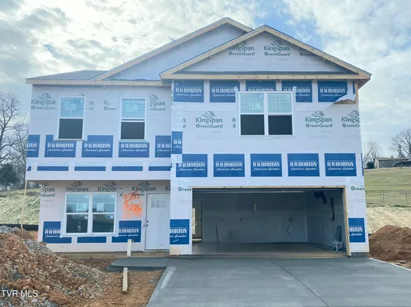 115 Mint Ct, Bluff City, TN 37618