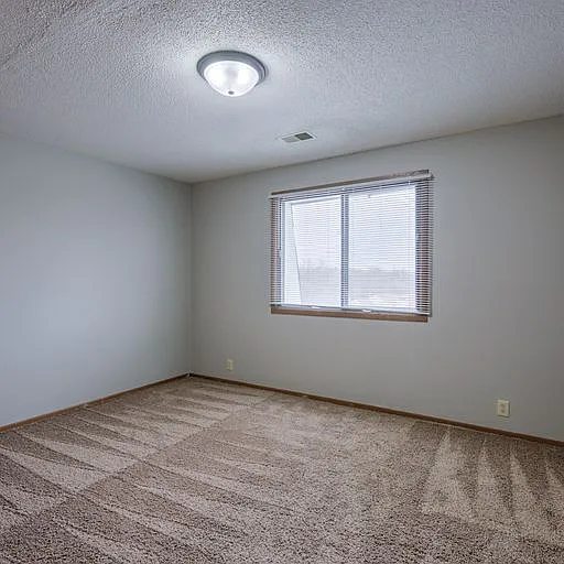 Room with tan carpet at 108 Blondo.