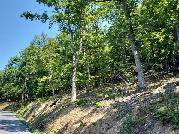 Bear Hill Rd, Oldtown, MD 21555