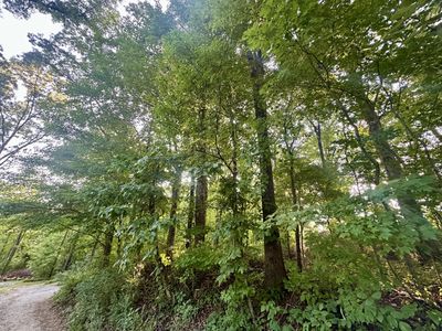 1 Reed Strickland Ln, Spring City, TN, 37381