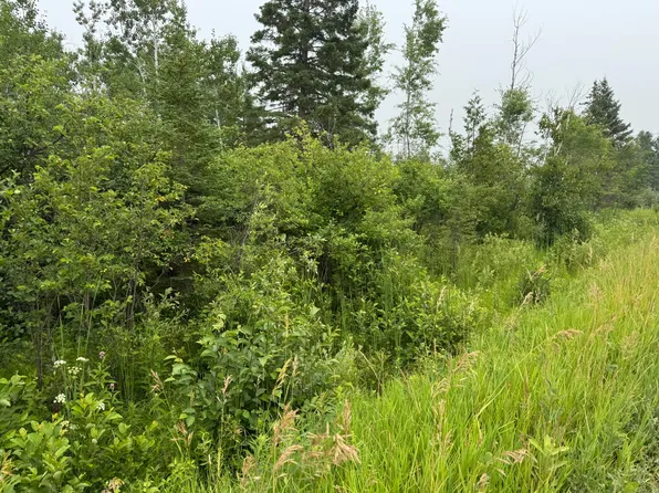 V/l Page Rd, Cheboygan, MI 49721